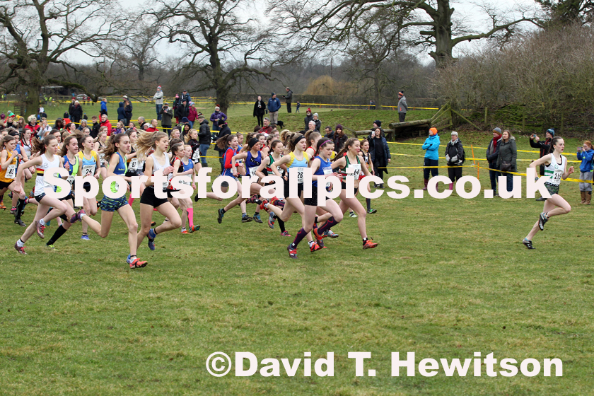 Girls under-15s Northern Cross Country Champs., Camp Hill Estate, Kirklington.  Photo: David T. Hewitson/Sports for All Pics